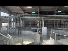 Użycie pigmentów kosmetycznych Peptydy kolagenowe do przechowywania z dala od światła i wysokich temperatur